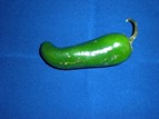 jalapeno