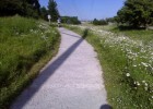 Biking to Work