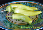 Pinterest Recipe Review – Stuffed Banana Peppers & Zucchini Boats